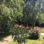 Il Tempo Del Sogno Con Cani E Gatti Pet&breakfast 3* Бавено