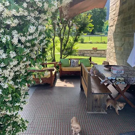 Il Tempo Del Sogno Con Cani E Gatti Pet&breakfast 3*