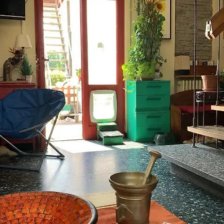 Il Tempo Del Sogno Con Cani E Gatti Pet&breakfast Panzió Baveno