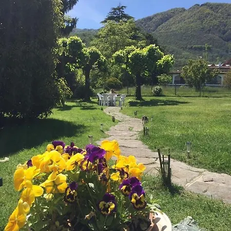 Il Tempo Del Sogno Con Cani E Gatti Pet&breakfast Baveno