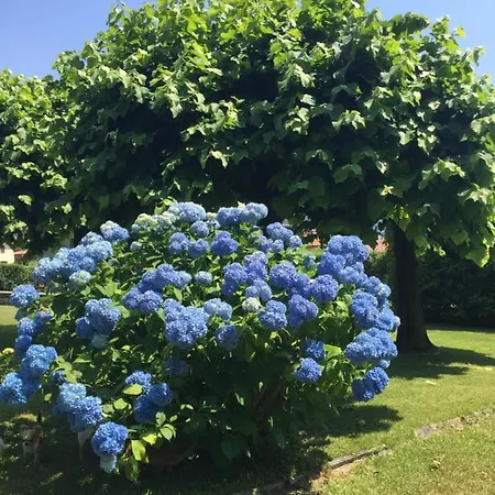 Panzió Il Tempo Del Sogno Con Cani E Gatti Pet&breakfast