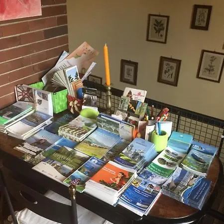 Il Tempo Del Sogno Con Cani E Gatti Pet&breakfast 3*