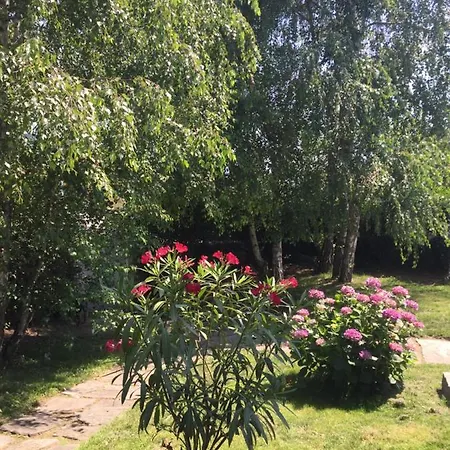 Il Tempo Del Sogno Con Cani E Gatti Pet&breakfast 3* Baveno