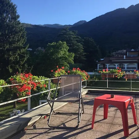 Il Tempo Del Sogno Con Cani E Gatti Pet&breakfast