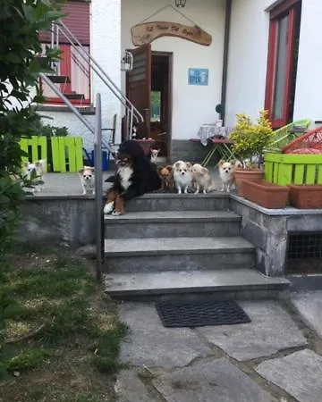 Il Tempo Del Sogno Con Cani E Gatti Pet&breakfast