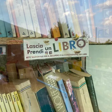 Il Tempo Del Sogno Con Cani E Gatti Pet&breakfast