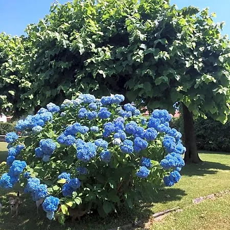 Bed & Breakfast Il Tempo Del Sogno Pet&breakfast